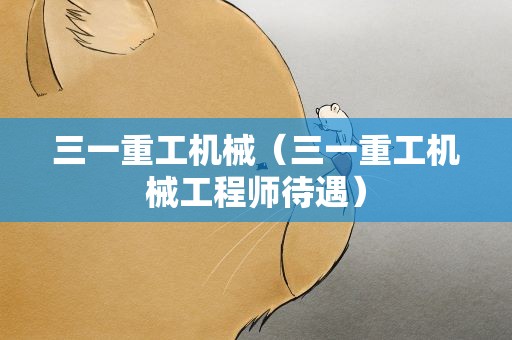 三一重工机械（三一重工机械工程师待遇）