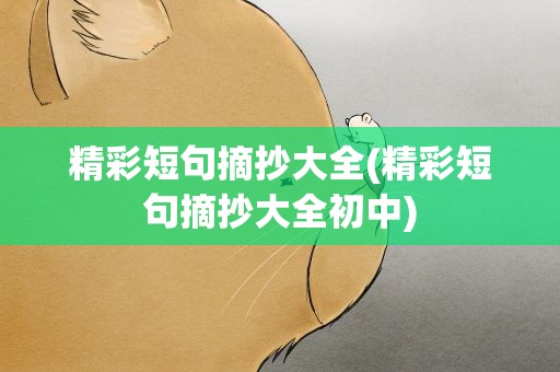 精彩短句摘抄大全(精彩短句摘抄大全初中)