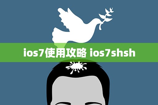 ios7使用攻略 ios7shsh