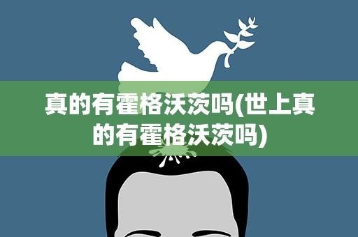 真的有霍格沃茨吗(世上真的有霍格沃茨吗)