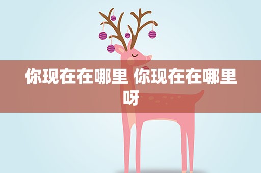 你现在在哪里 你现在在哪里呀
