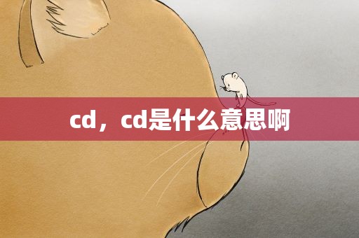 cd，cd是什么意思啊
