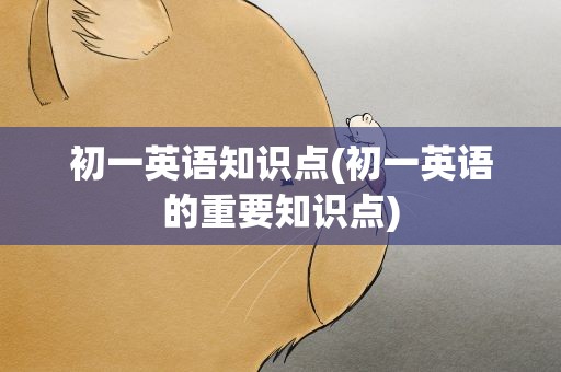 初一英语知识点(初一英语的重要知识点)