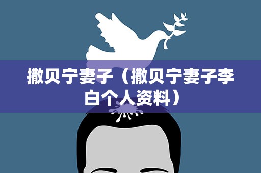 撒贝宁妻子（撒贝宁妻子李白个人资料）