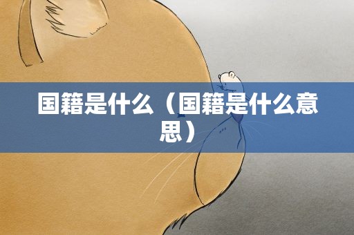 国籍是什么（国籍是什么意思）