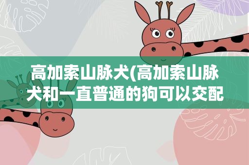 高加索山脉犬(高加索山脉犬和一直普通的狗可以交配吗)