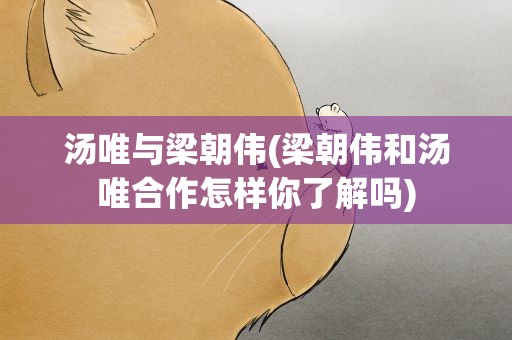 汤唯与梁朝伟(梁朝伟和汤唯合作怎样你了解吗)