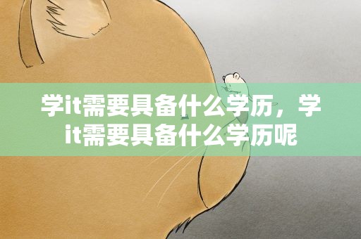 学it需要具备什么学历，学it需要具备什么学历呢