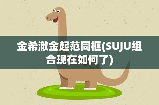 金希澈金起范同框(SUJU组合现在如何了)