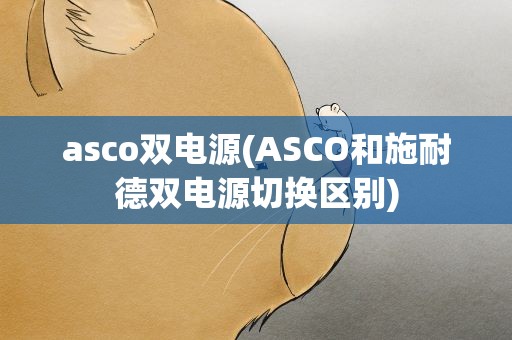 asco双电源(ASCO和施耐德双电源切换区别)