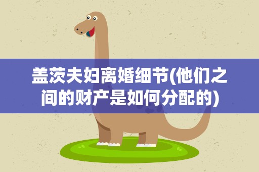 盖茨夫妇离婚细节(他们之间的财产是如何分配的)