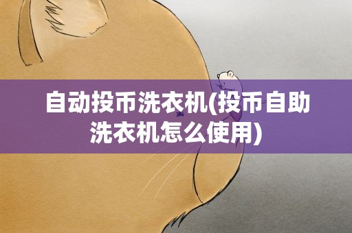 自动投币洗衣机(投币自助洗衣机怎么使用)