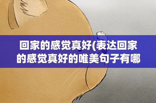 回家的感觉真好(表达回家的感觉真好的唯美句子有哪些)
