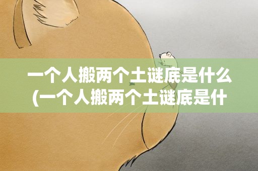 一个人搬两个土谜底是什么(一个人搬两个土谜底是什么字)