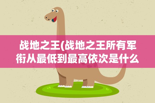 战地之王(战地之王所有军衔从最低到最高依次是什么还给张军衔表)