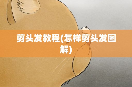 剪头发教程(怎样剪头发图解)