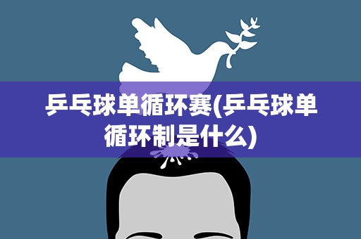 乒乓球单循环赛(乒乓球单循环制是什么)