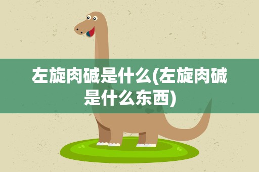 左旋肉碱是什么(左旋肉碱是什么东西)