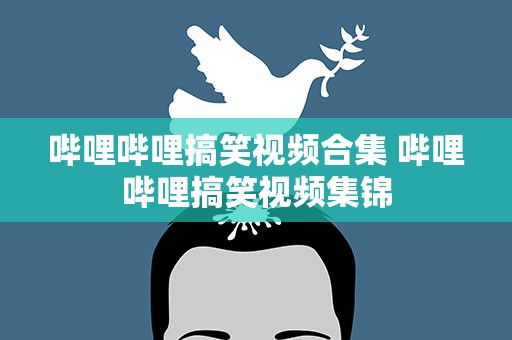 哔哩哔哩搞笑视频合集 哔哩哔哩搞笑视频集锦