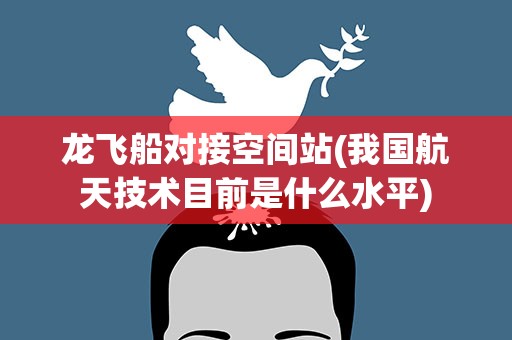 龙飞船对接空间站(我国航天技术目前是什么水平)