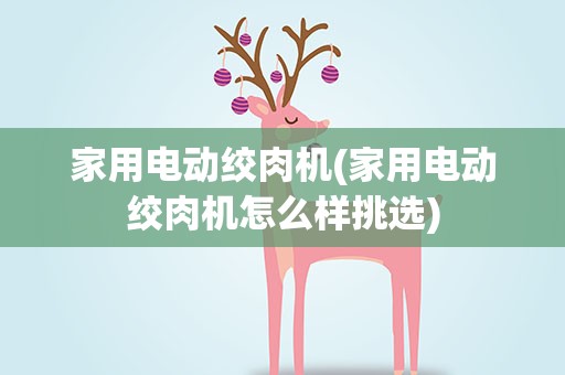 家用电动绞肉机(家用电动绞肉机怎么样挑选)