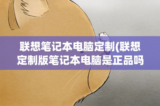 联想笔记本电脑定制(联想定制版笔记本电脑是正品吗靠谱吗)