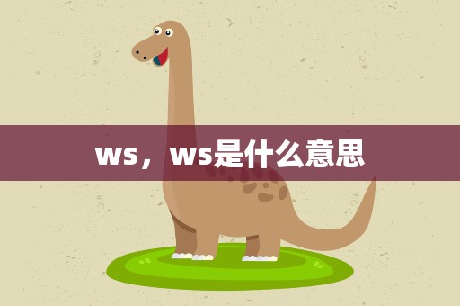 ws，ws是什么意思