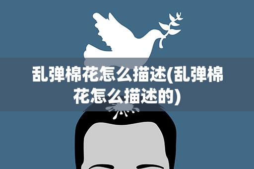 乱弹棉花怎么描述(乱弹棉花怎么描述的)