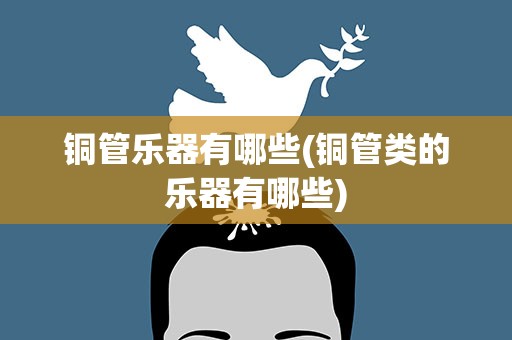 铜管乐器有哪些(铜管类的乐器有哪些)