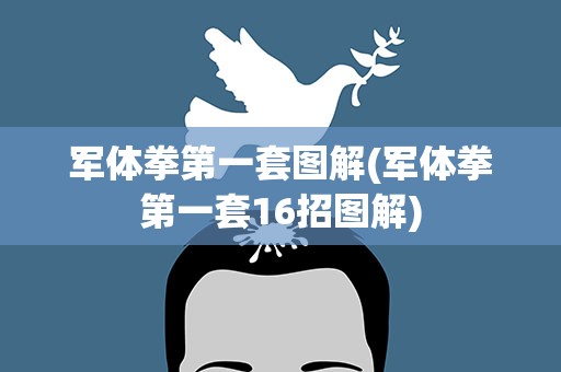 军体拳第一套图解(军体拳第一套16招图解)