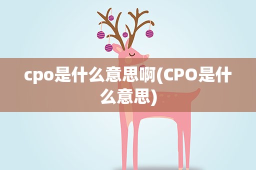 cpo是什么意思啊(CPO是什么意思)