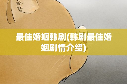 最佳婚姻韩剧(韩剧最佳婚姻剧情介绍)