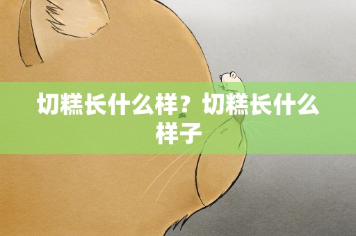 切糕长什么样？切糕长什么样子