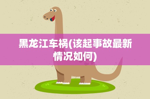 黑龙江车祸(该起事故最新情况如何)