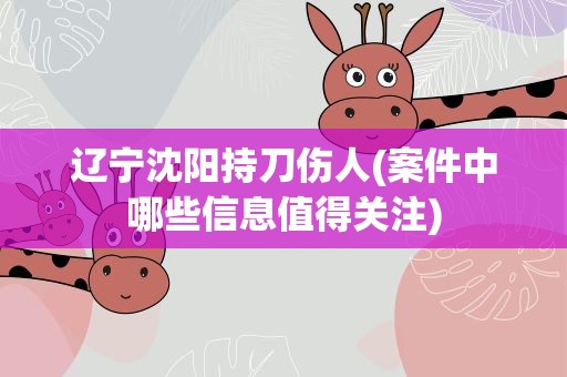 辽宁沈阳持刀伤人(案件中哪些信息值得关注)