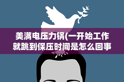 美满电压力锅(一开始工作就跳到保压时间是怎么回事)