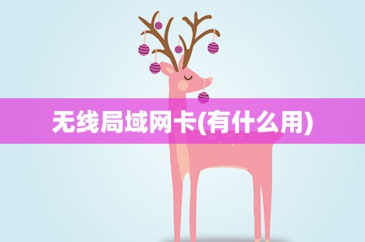 无线局域网卡(有什么用)
