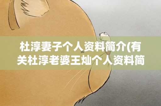 杜淳妻子个人资料简介(有关杜淳老婆王灿个人资料简介)