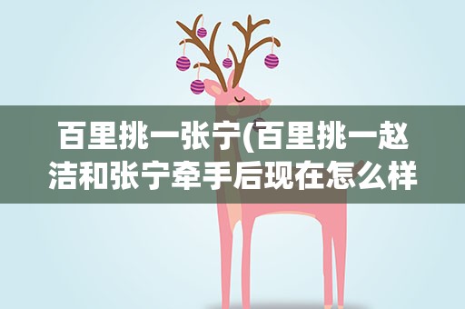 百里挑一张宁(百里挑一赵洁和张宁牵手后现在怎么样了)