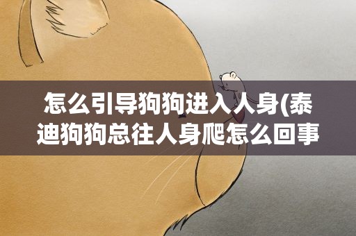 怎么引导狗狗进入人身(泰迪狗狗总往人身爬怎么回事)