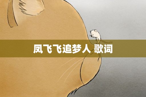 凤飞飞追梦人 歌词