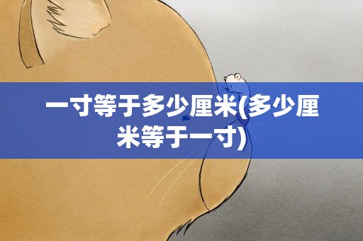 一寸等于多少厘米(多少厘米等于一寸)