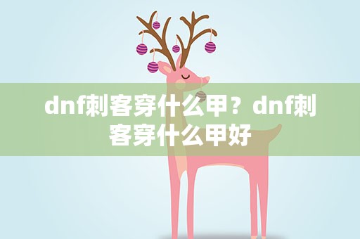 dnf刺客穿什么甲？dnf刺客穿什么甲好