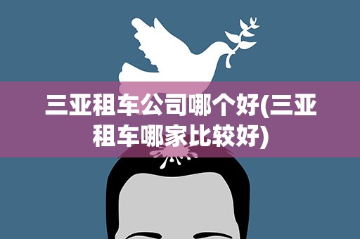 三亚租车公司哪个好(三亚租车哪家比较好)
