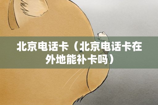 北京电话卡（北京电话卡在外地能补卡吗）