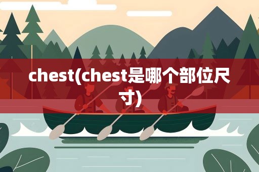 chest(chest是哪个部位尺寸)