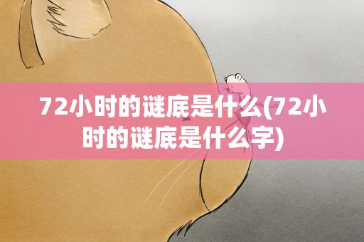 72小时的谜底是什么(72小时的谜底是什么字)