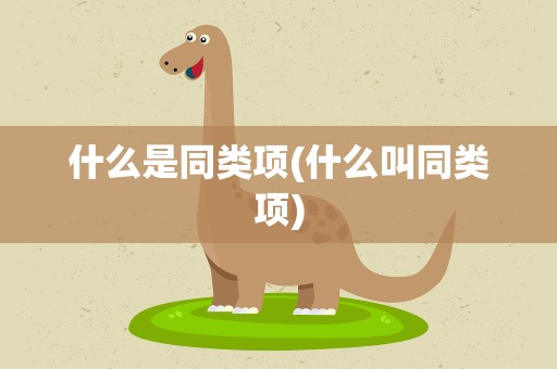 什么是同类项(什么叫同类项)