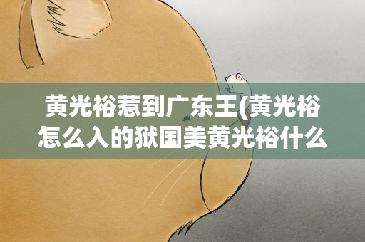 黄光裕惹到广东王(黄光裕怎么入的狱国美黄光裕什么罪)