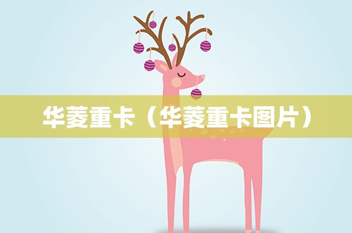 华菱重卡（华菱重卡图片）